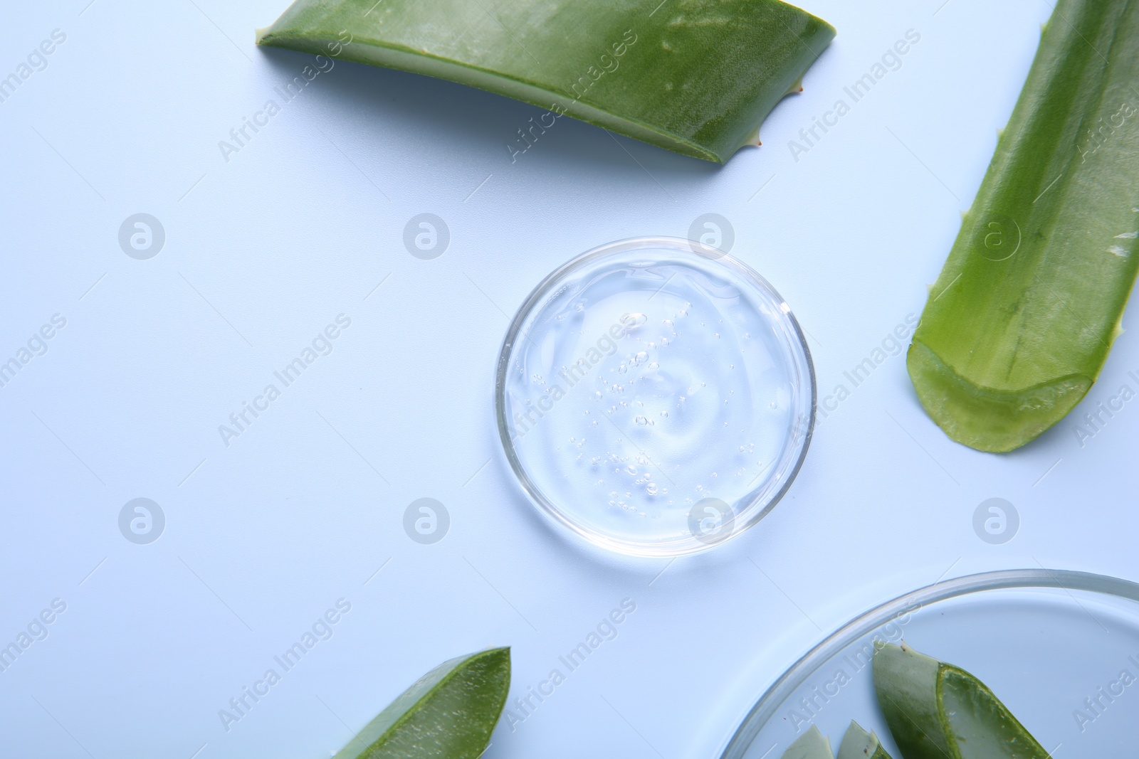 Photo of Aloe vera leaves and cosmetic gel on light blue background, top view. Space for text