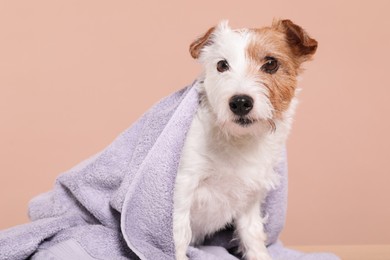 Photo of Portrait of cute dog with towel on beige background