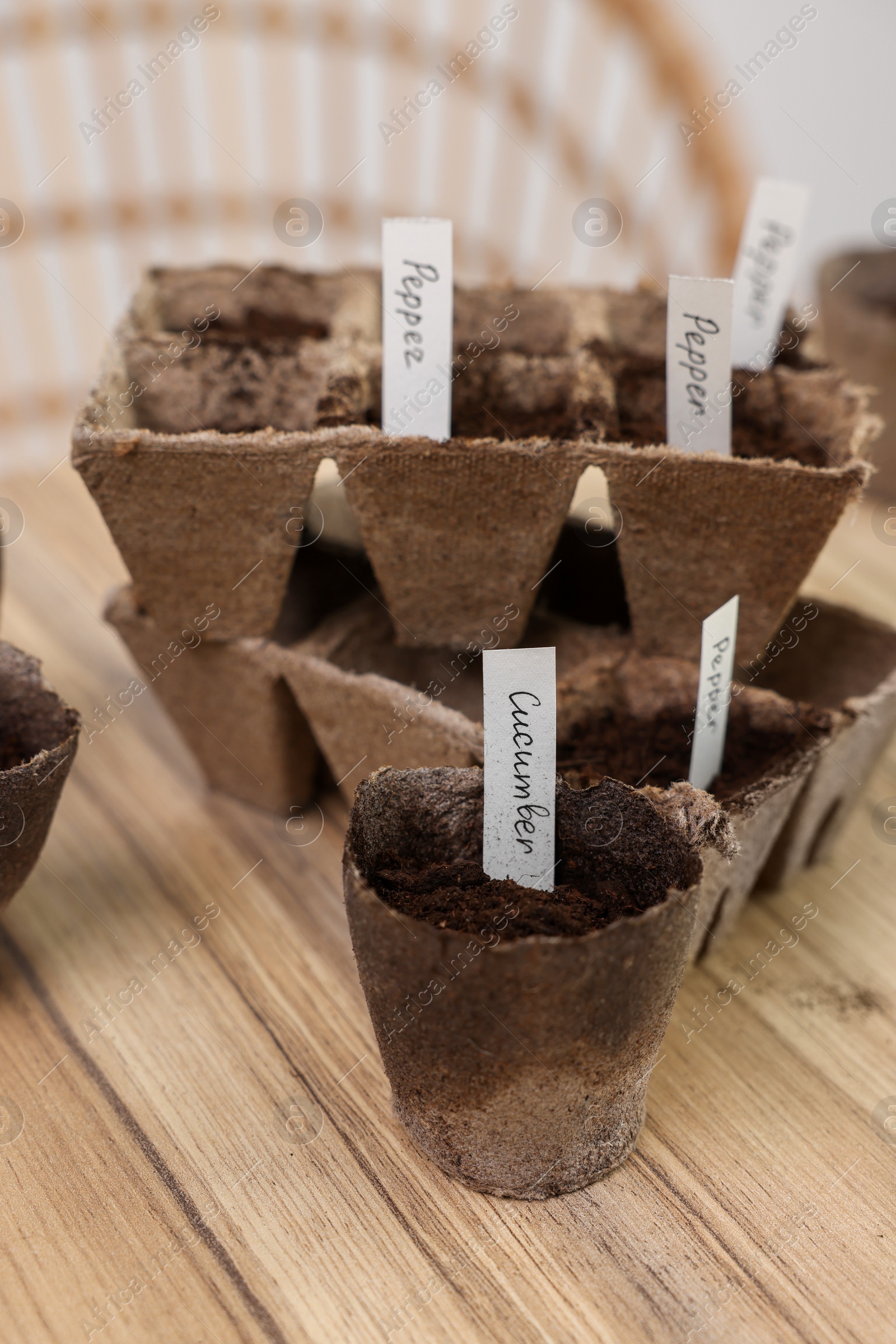 Photo of Many peat pots with cards of vegetable names on wooden table indoors. Growing seeds