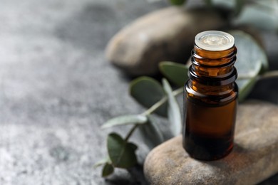 Photo of Bottle of eucalyptus essential oil and plant branch on light grey table, space for text