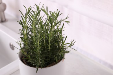 Photo of Aromatic green rosemary in pot on white table, closeup