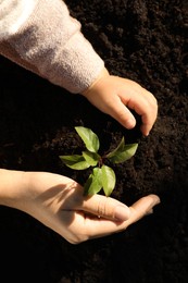 Photo of Mother and daughter planting young tree in garden, top view