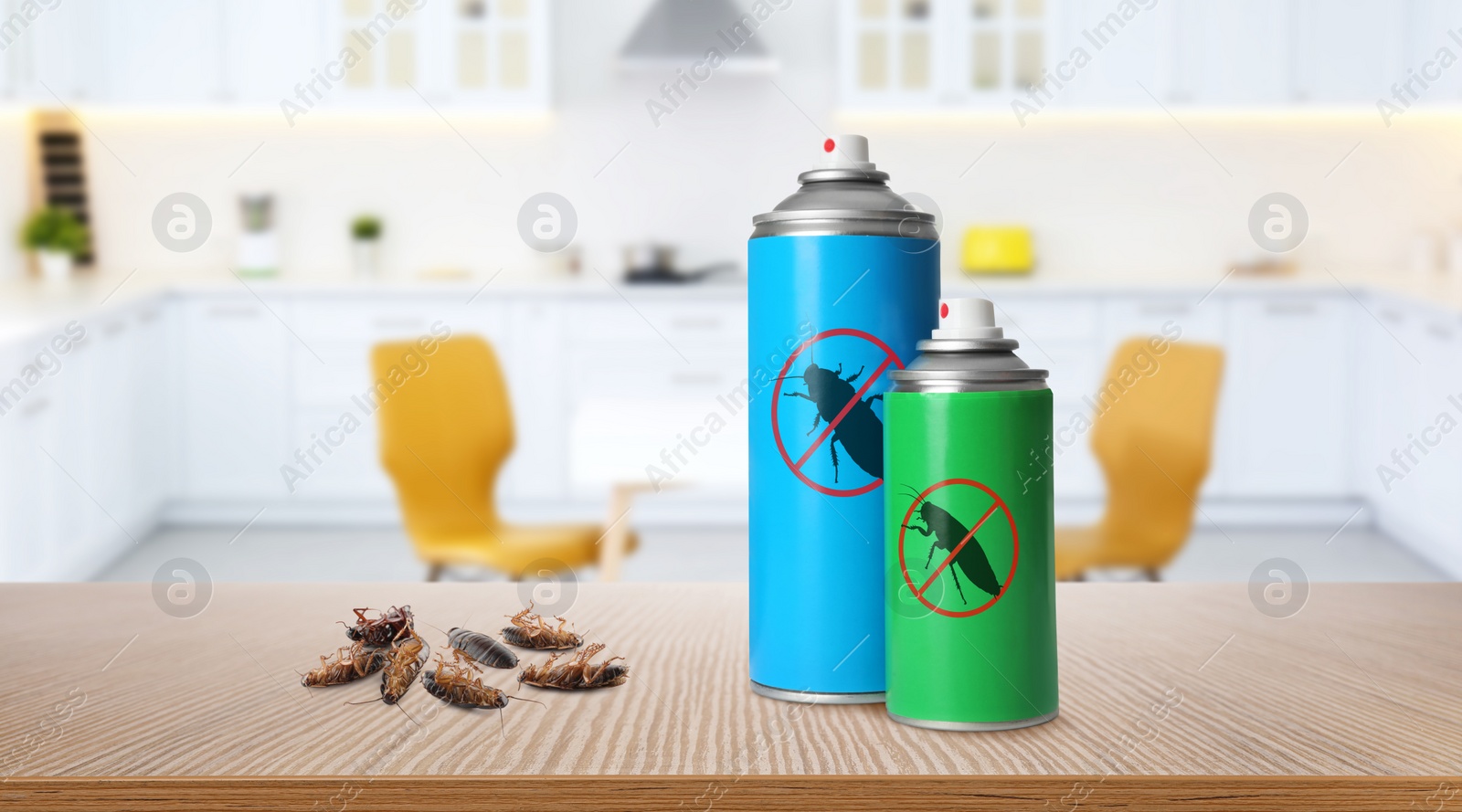Image of Pest control. Insecticides and dead cockroaches on table in kitchen