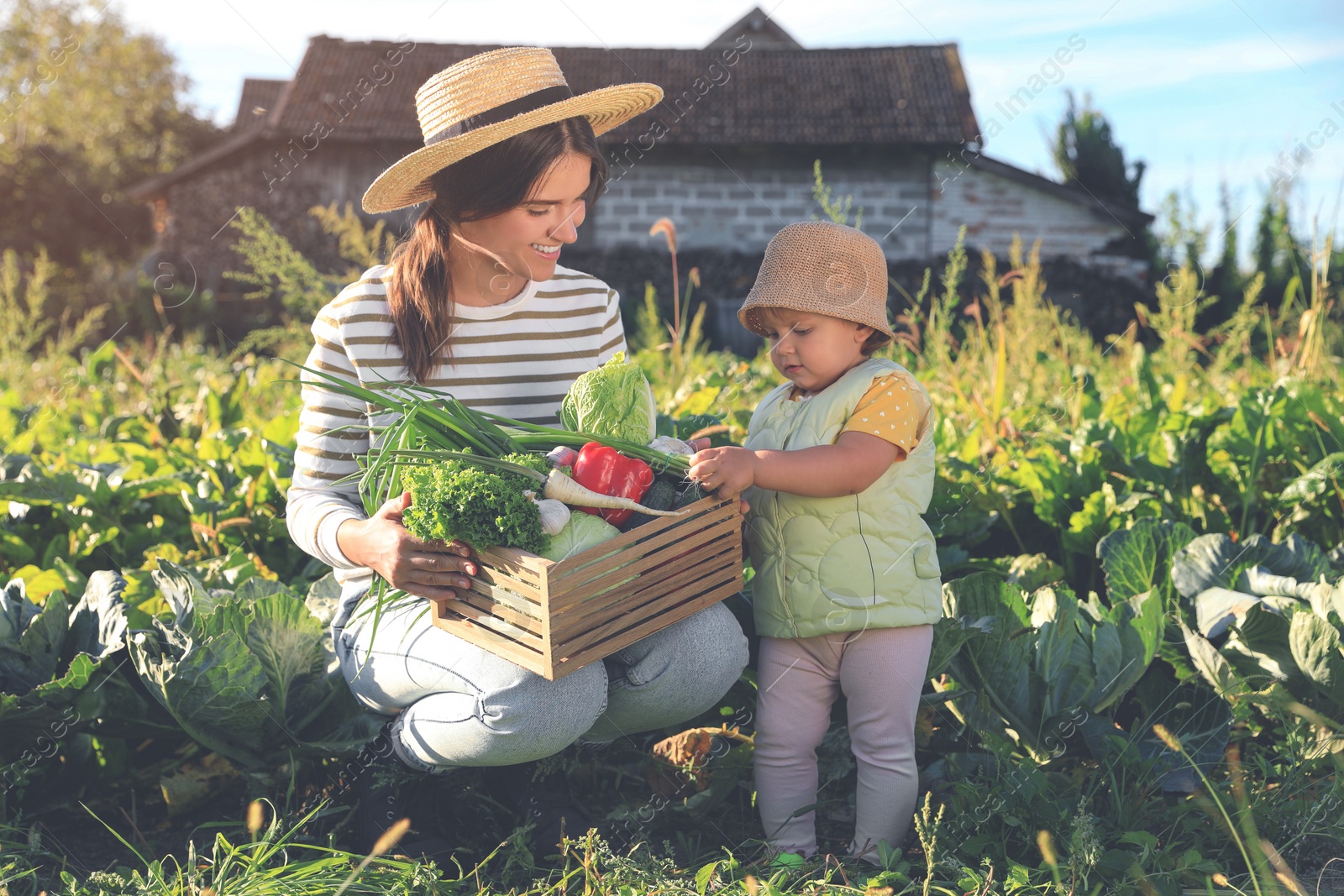 Photo of Mother and daughter harvesting different fresh ripe vegetables on farm