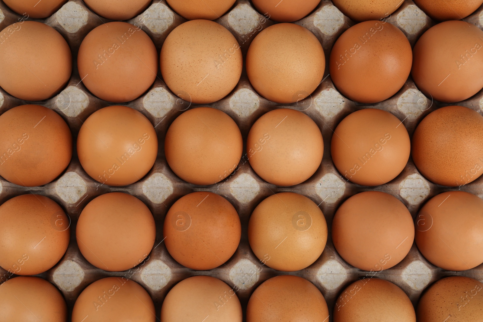 Photo of Raw chicken eggs in carton, top view