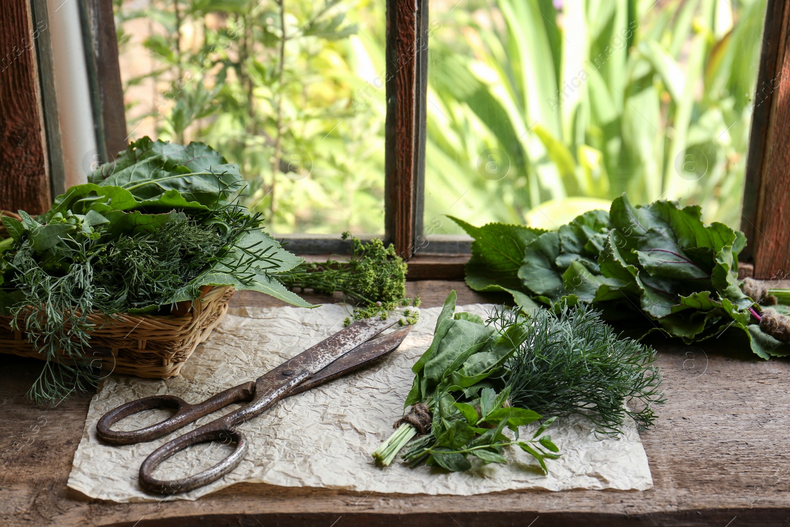 Photo of Different herbs and rusty scissors on window sill indoors