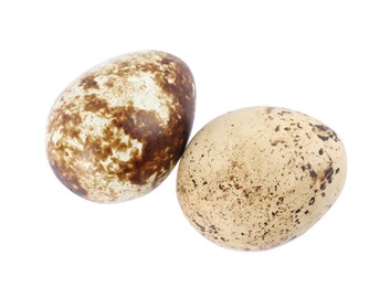 Beautiful speckled quail eggs on white background, top view