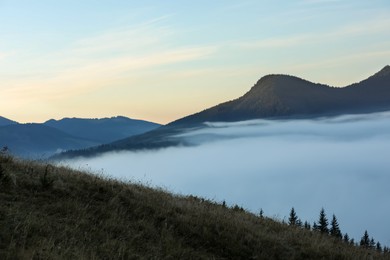 Photo of Meadow near beautiful mountains with thick mist