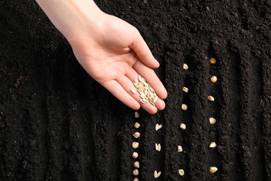Photo of Woman planting cucumber seeds into fertile soil, top view. Vegetable growing