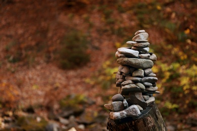 Photo of Stack of stones on tree stump in forest. Space for text