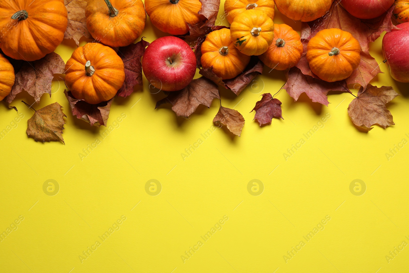 Photo of Thanksgiving day. Flat lay composition with pumpkins on yellow background, space for text