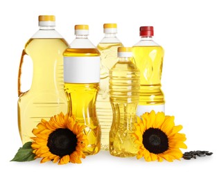 Photo of Bottles with sunflower cooking oil, seeds and yellow flowers on white background
