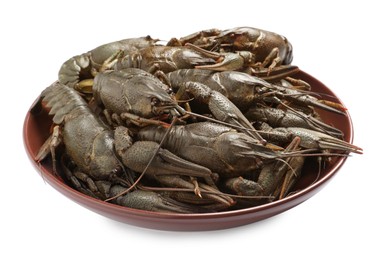 Fresh raw crayfishes in bowl on white background