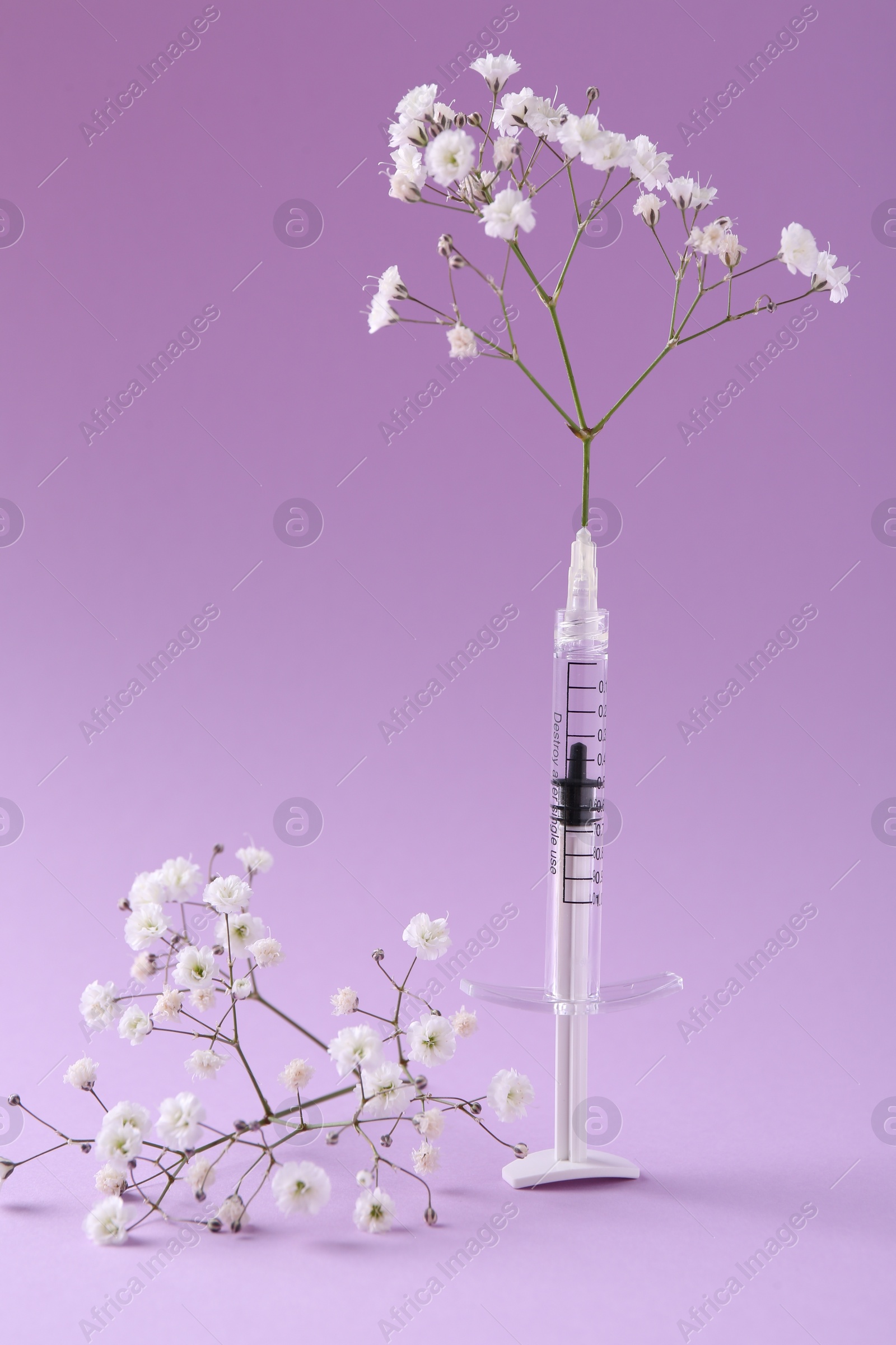 Photo of Cosmetology. Medical syringe and gypsophila on violet background