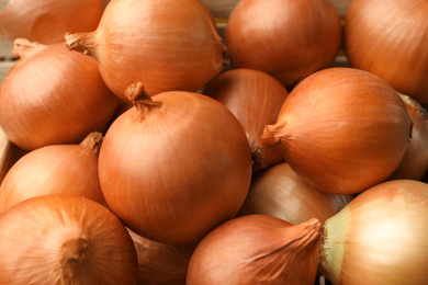 Photo of Many ripe onion bulbs as background, closeup