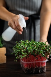 Photo of Woman spraying microgreen with water at wooden table, closeup