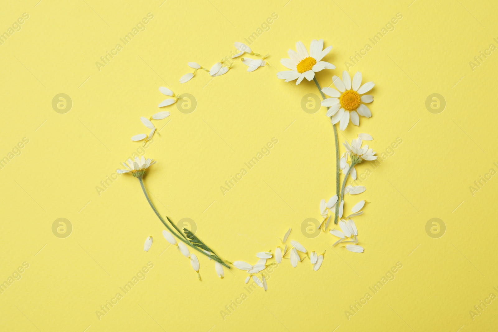 Photo of Frame made with chamomiles on yellow background, flat lay. Space for text