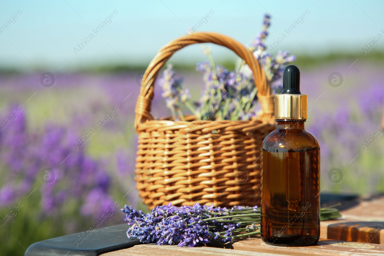 Photo of Bottle of essential oil and wicker bag with lavender flowers on wooden table in field outdoors, space for text