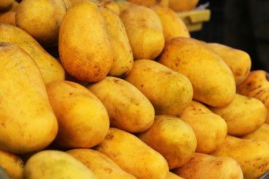 Photo of Pile of delicious ripe yellow mangoes, closeup