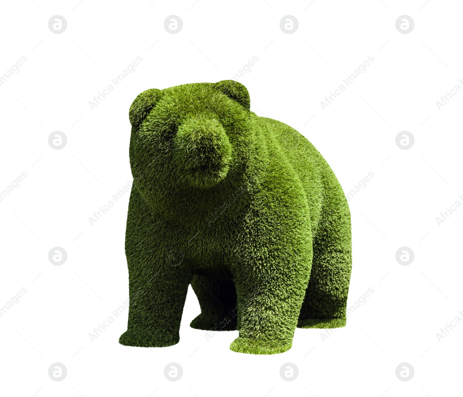 Image of Beautiful bear shaped topiary isolated on white. Landscape gardening