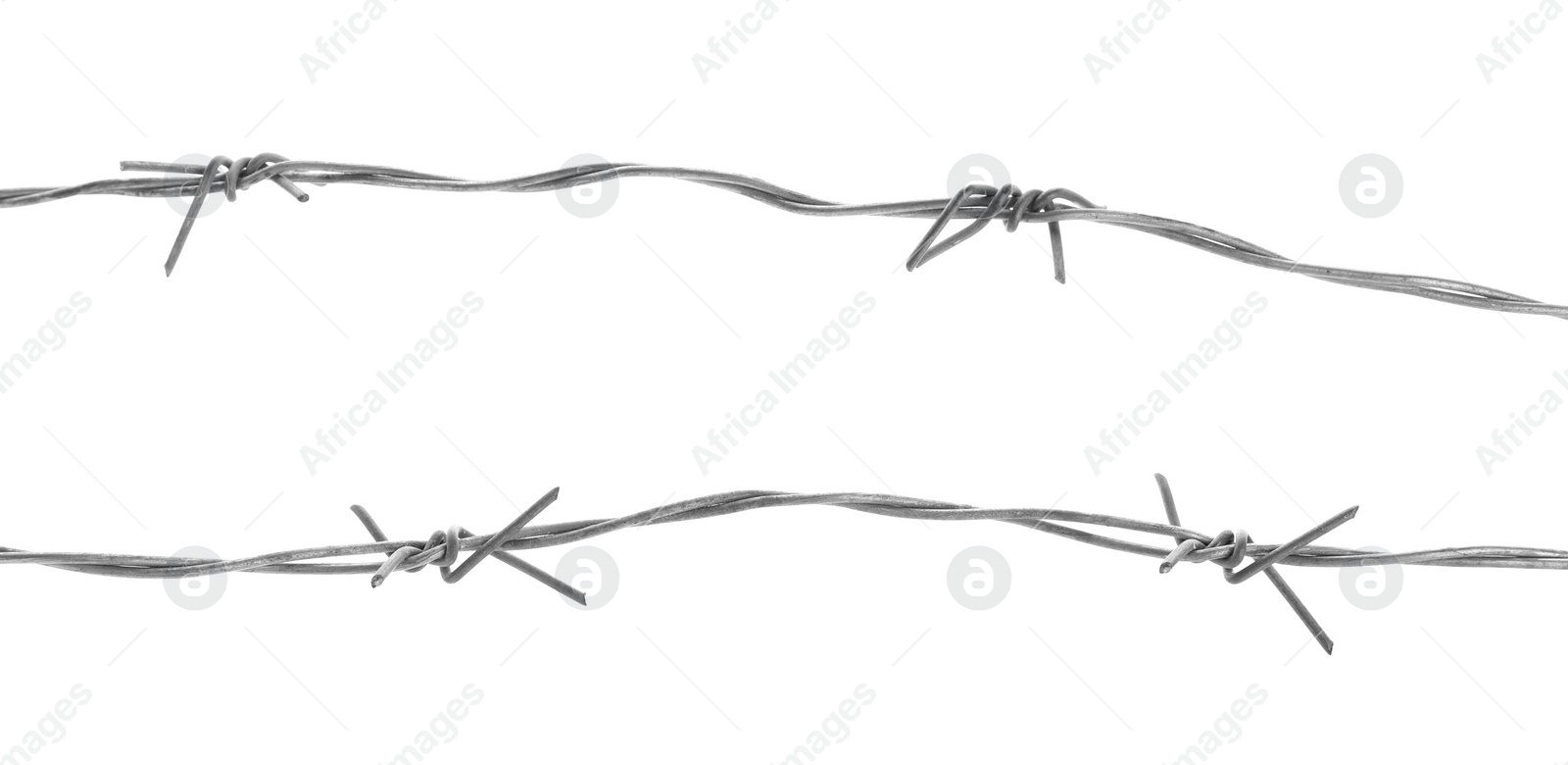 Photo of Shiny metal barbed wire isolated on white