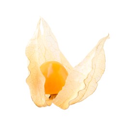 Photo of Ripe physalis fruit with calyx isolated on white