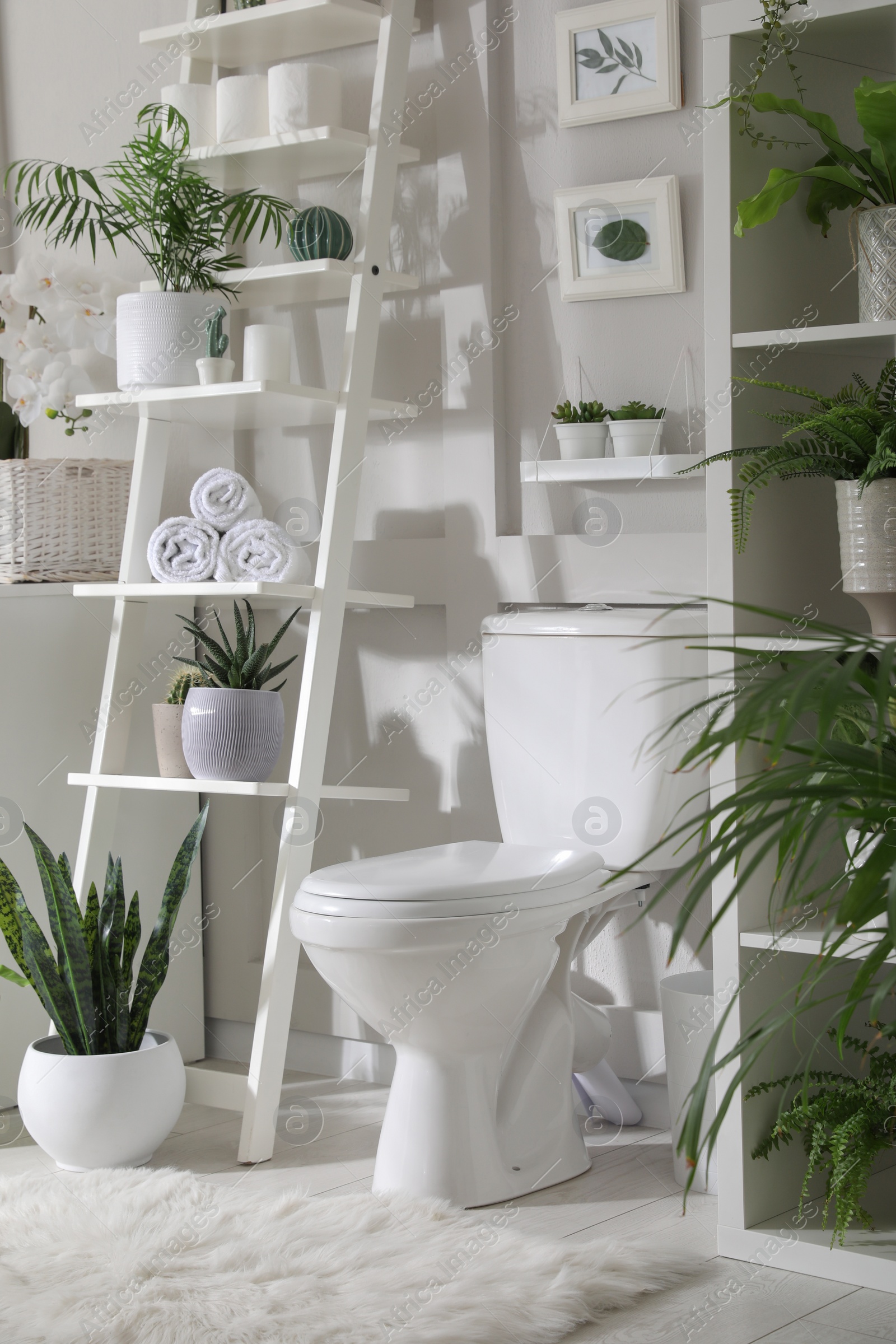 Photo of Stylish bathroom interior with toilet bowl and many beautiful houseplants