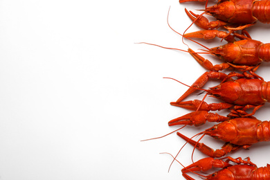 Photo of Delicious boiled crayfishes isolated on white, top view