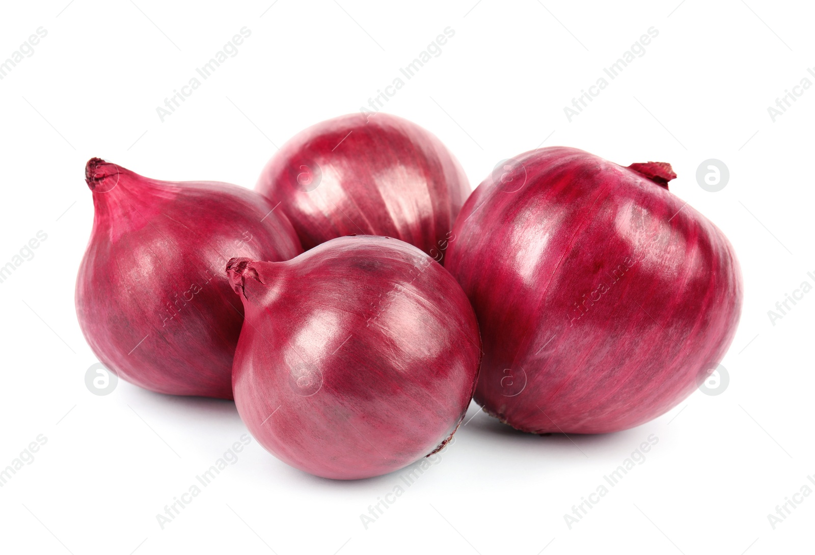 Photo of Fresh whole red onions on white background