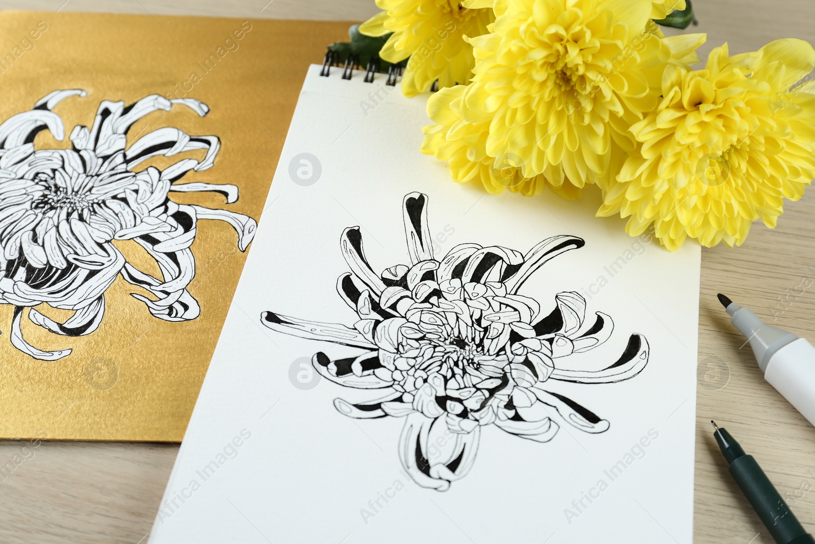 Photo of Drawings of chrysanthemum with flowers and pens on wooden table, closeup