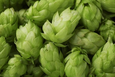 Photo of Fresh ripe green hops as background, top view