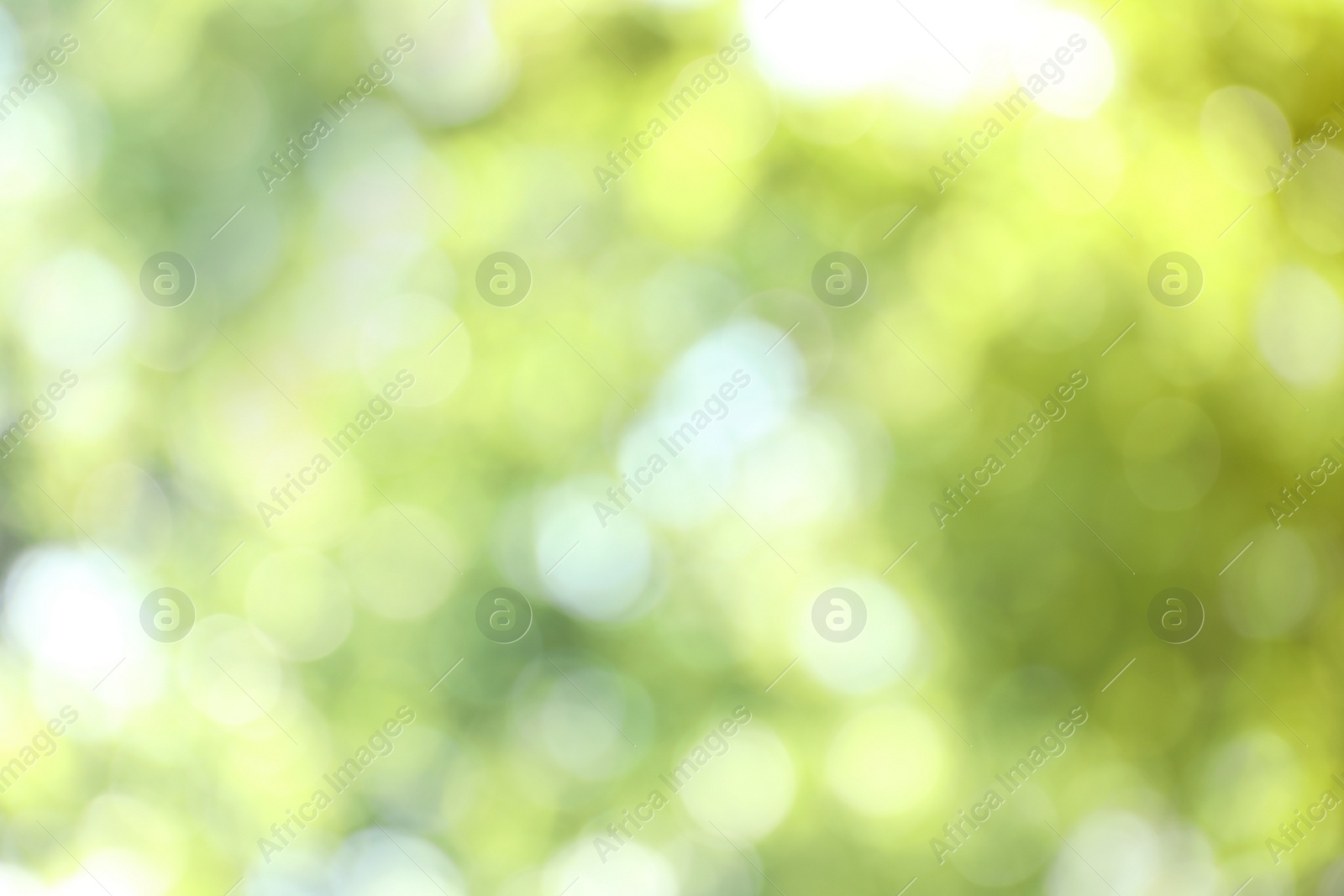 Photo of Blurred view of abstract green background. Bokeh effect