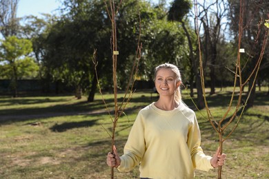 Happy woman with young trees ready for planting outdoors on sunny day