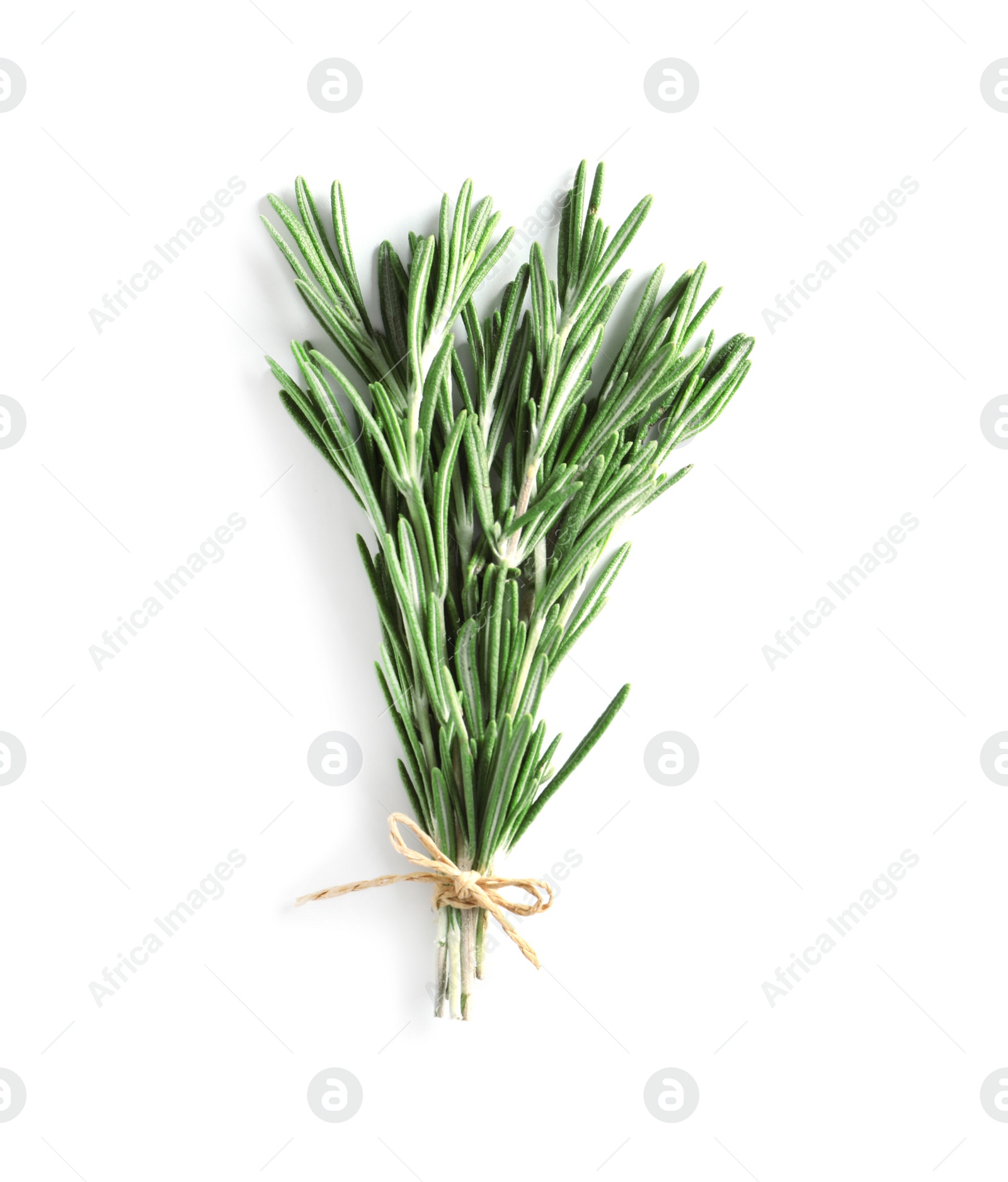 Photo of Fresh rosemary twigs tied with twine on white background