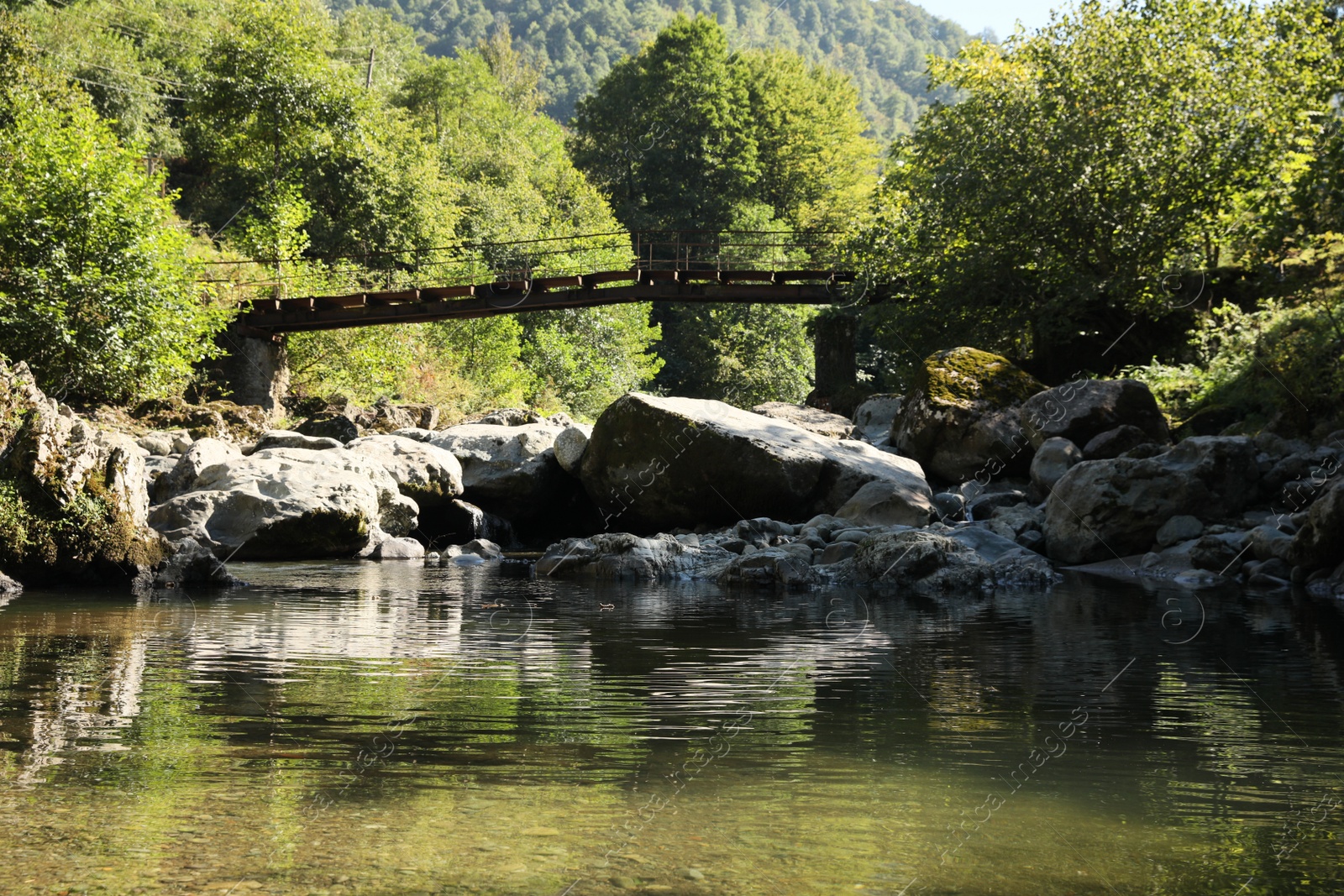 Photo of Beautiful view of small river under wooden bridge on sunny day