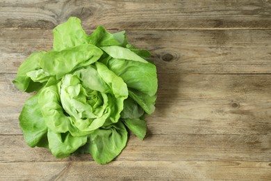 Photo of Fresh green butter lettuce on wooden table, space for text