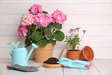 Photo of Beautiful blooming plants, gardening tools and accessories on white wooden table
