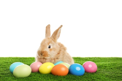 Photo of Adorable furry Easter bunny and dyed eggs on green grass against white background