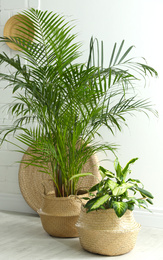 Photo of Houseplants in wicker pots on floor indoors. Interior design