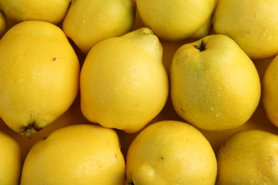 Delicious ripe quinces with water drops as background, top view