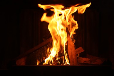 Bonfire with burning firewood on dark background