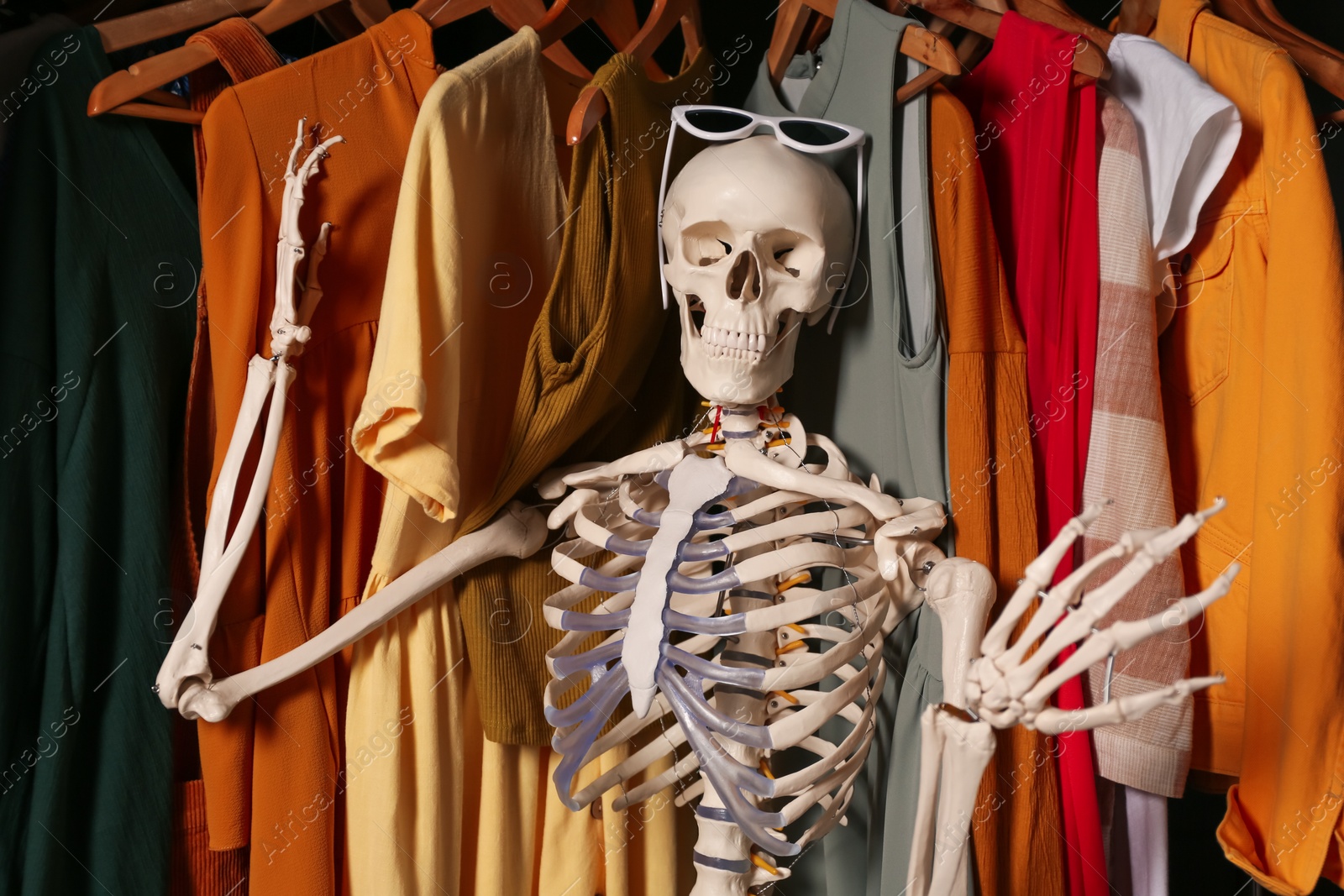 Photo of Artificial human skeleton model among clothes in wardrobe