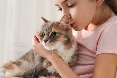 Cute little girl with cat at home, closeup. First pet