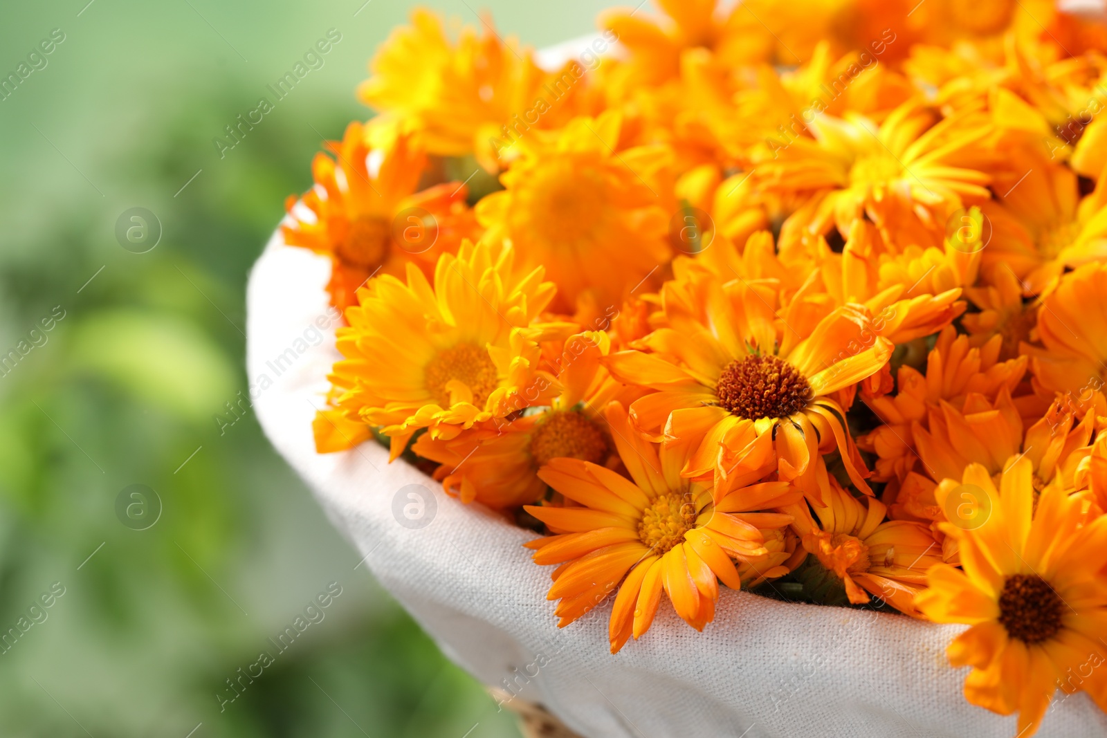 Photo of Beautiful fresh calendula flowers on blurred green background, closeup