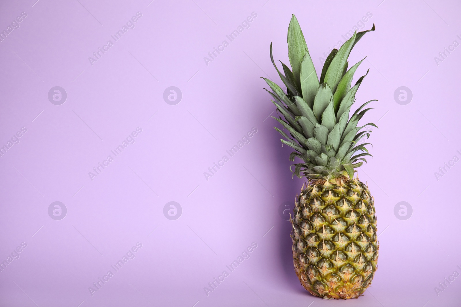 Photo of Fresh ripe juicy pineapple on lilac background. Space for text