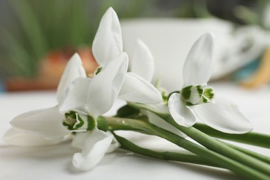 Photo of Beautiful spring snowdrops on light table, closeup