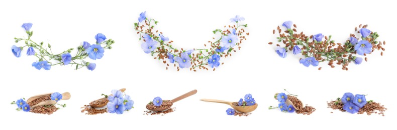 Set with flax seeds and flowers on white background. Banner design