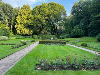 Beautiful green trees, flowers and shrubs in garden on sunny day