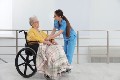 Nurse covering senior woman in wheelchair with plaid at hospital. Medical assisting