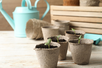 Photo of Young seedlings in peat pots on white wooden table